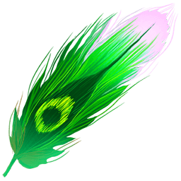 Peafowl Feather
