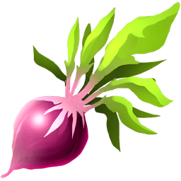 Beet