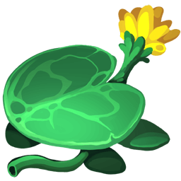 Water Lily