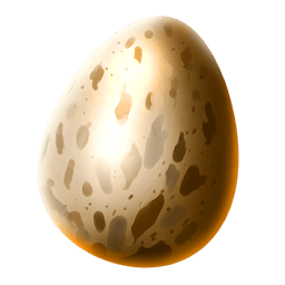 Egg of Chicken
