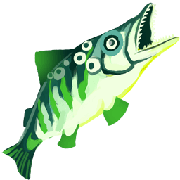 Green Barracuda
