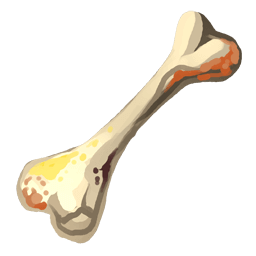 Bone
