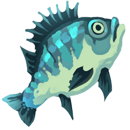 Bluegill