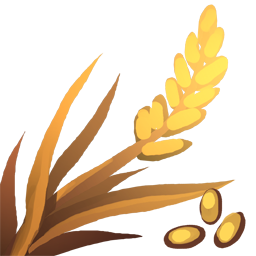 Wheat