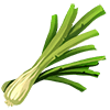 Leek