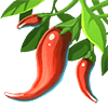 Peppers