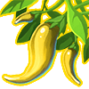 Gold Peppers