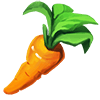Carrot