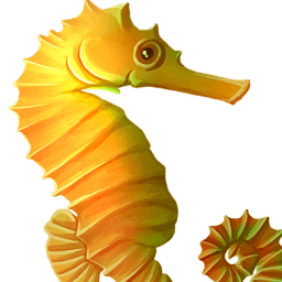 Seahorse
