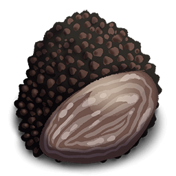Black Truffle