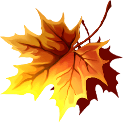 Fall Leaves