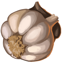 Garlic