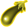 Gold Eggplant