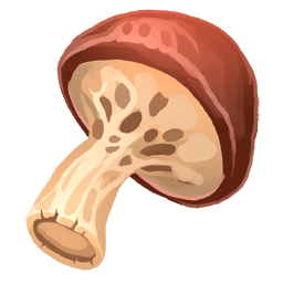 Mushroom