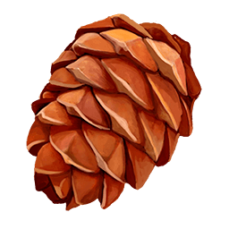 Pine Cone