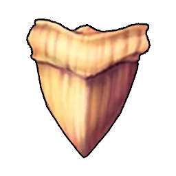 Shark Tooth