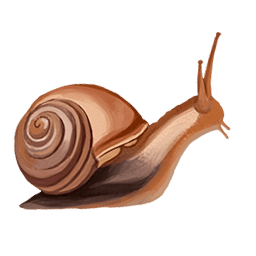 Snail