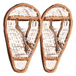Snow Shoes