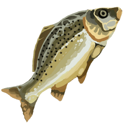 Trout