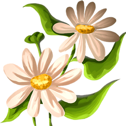 White Flowers
