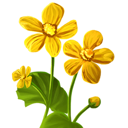 Yellow Flowers